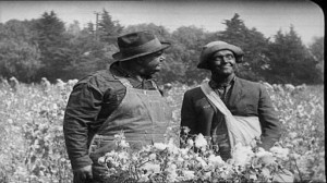 Pardon Us - L & H on the run in blackface, in a cottonfield